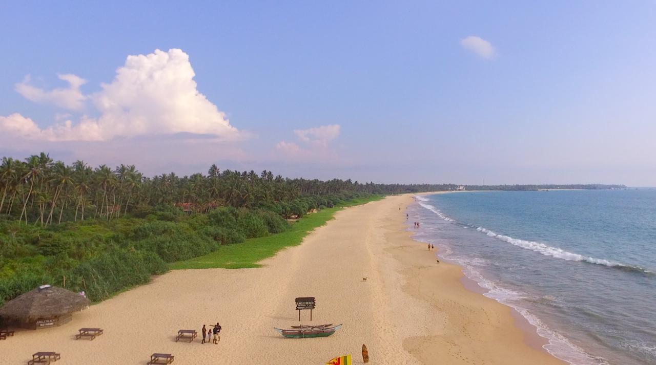 Jungle Beach אהונגלה מראה חיצוני תמונה
