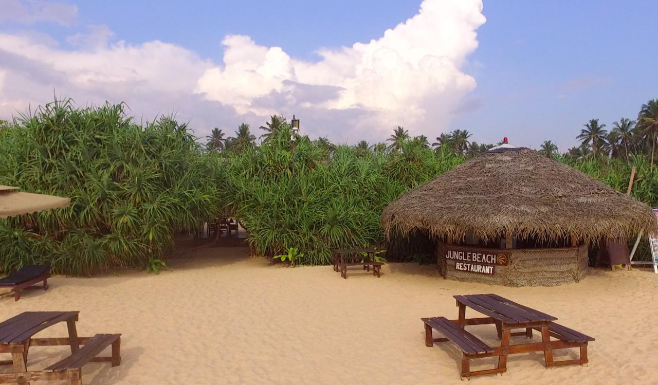 Jungle Beach אהונגלה מראה חיצוני תמונה